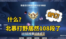 91段打野直播,揭秘职业选手的日常与技巧